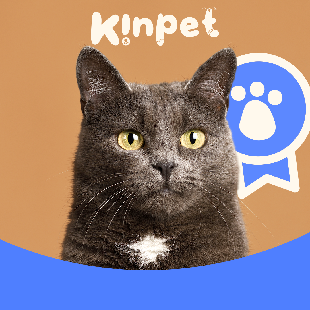 KinPet Difuser
